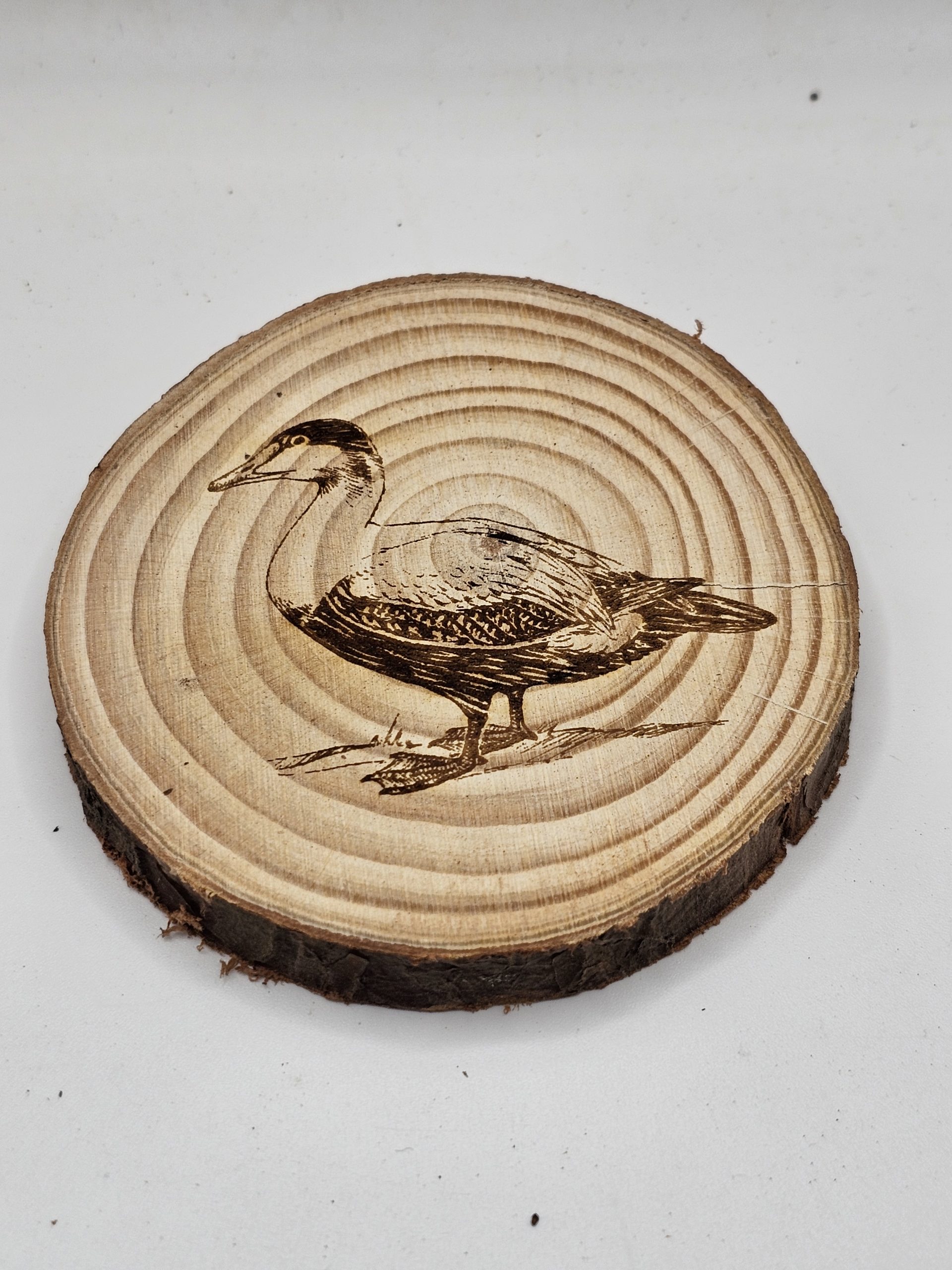 Wooden Coasters - Bird Designs - Image 11