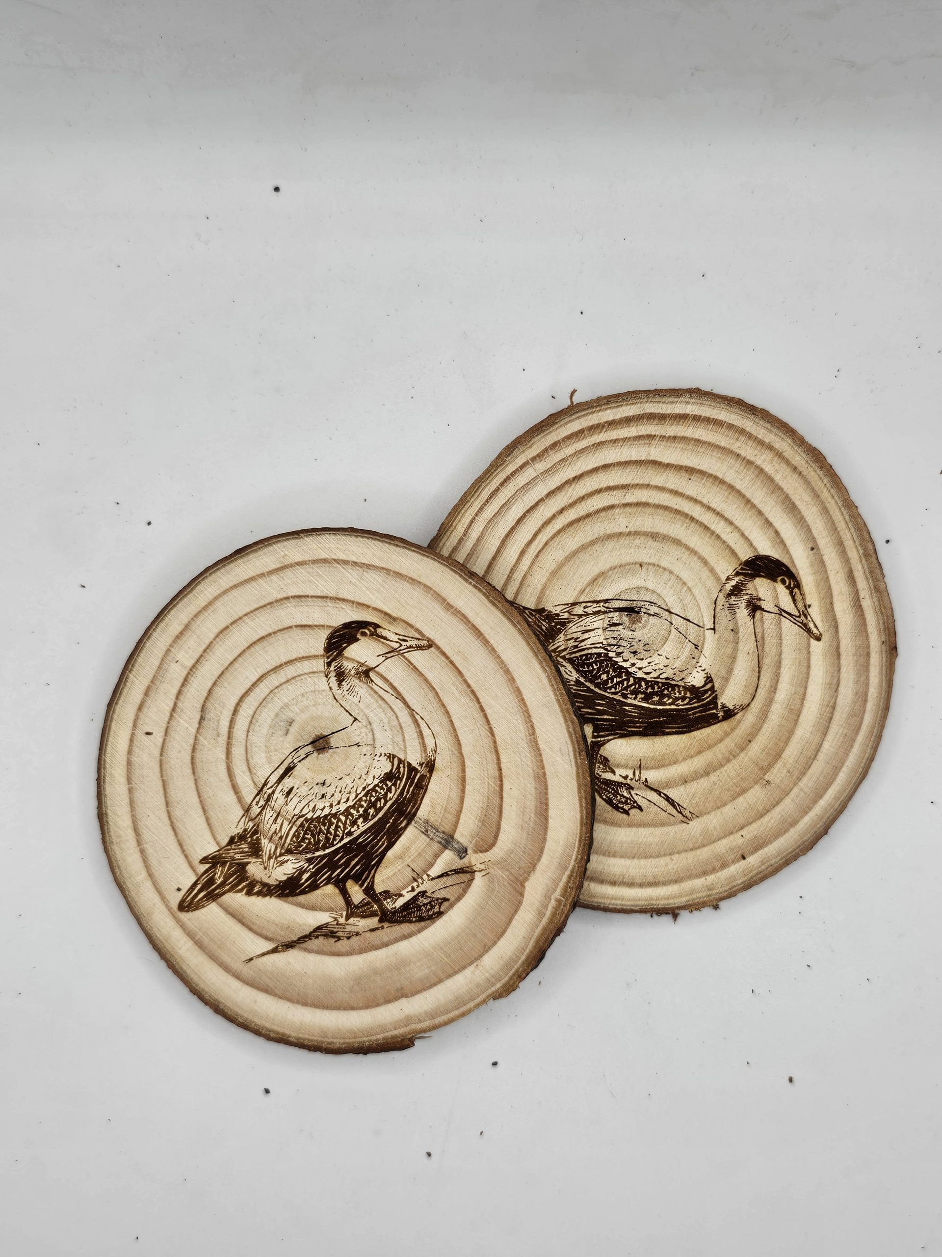 Wooden Coasters - Bird Designs - Image 12