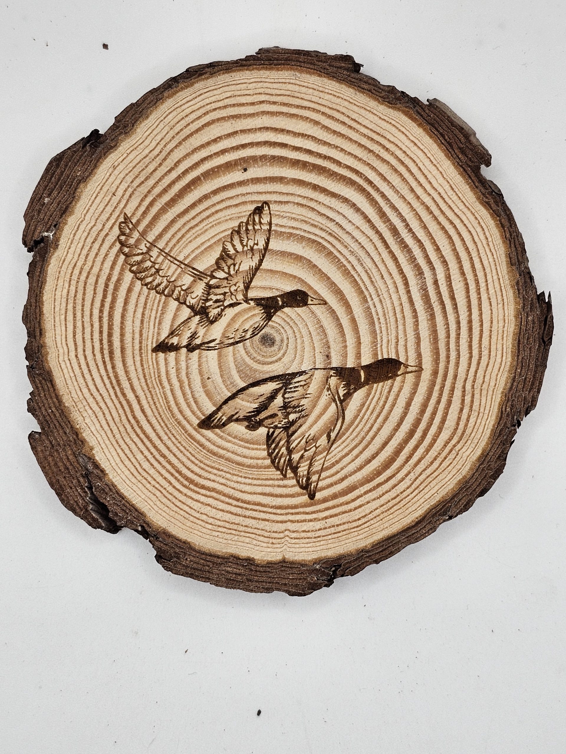 Wooden Coasters - Bird Designs - Image 13