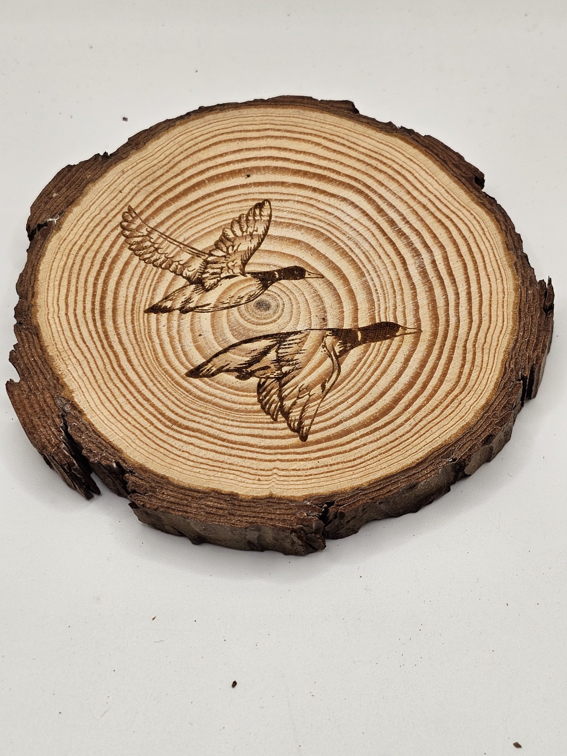 Wooden Coasters - Bird Designs - Image 14