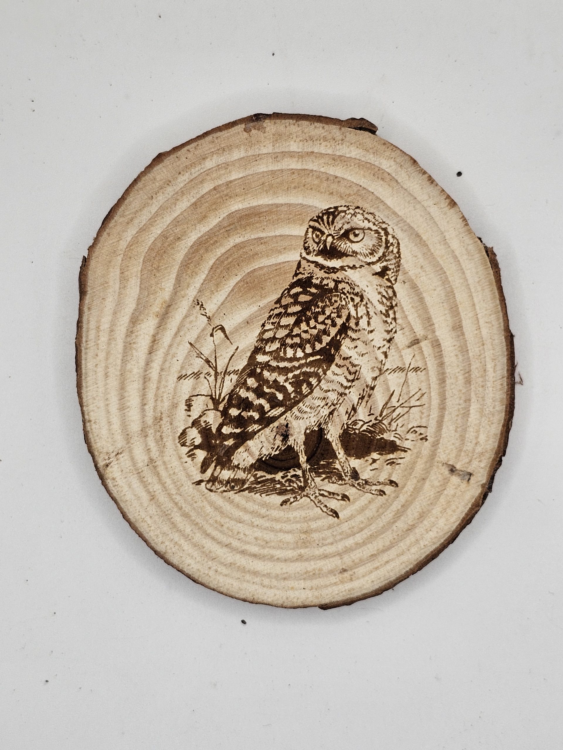 Wooden Coasters - Bird Designs - Image 22