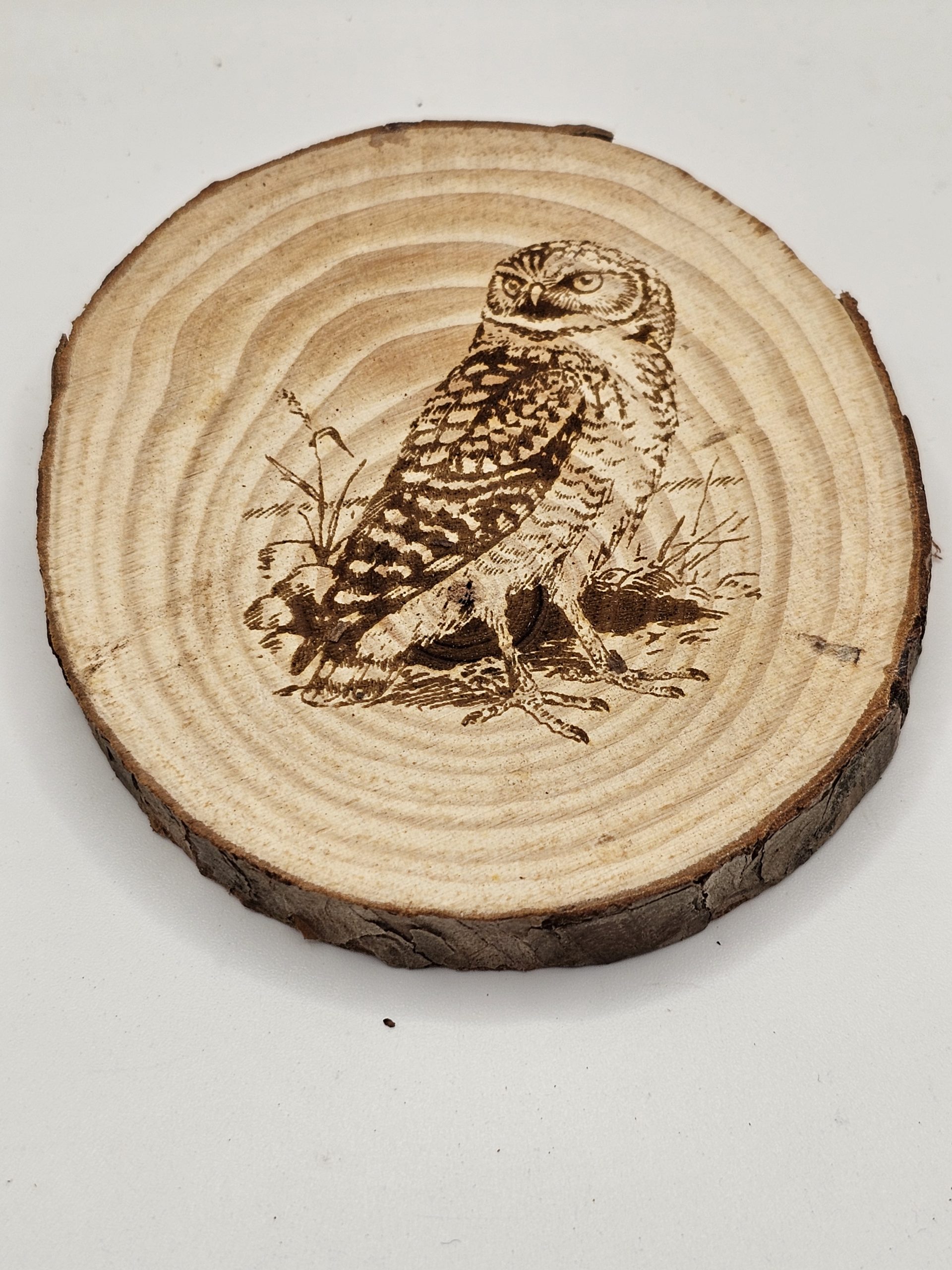 Wooden Coasters - Bird Designs - Image 23