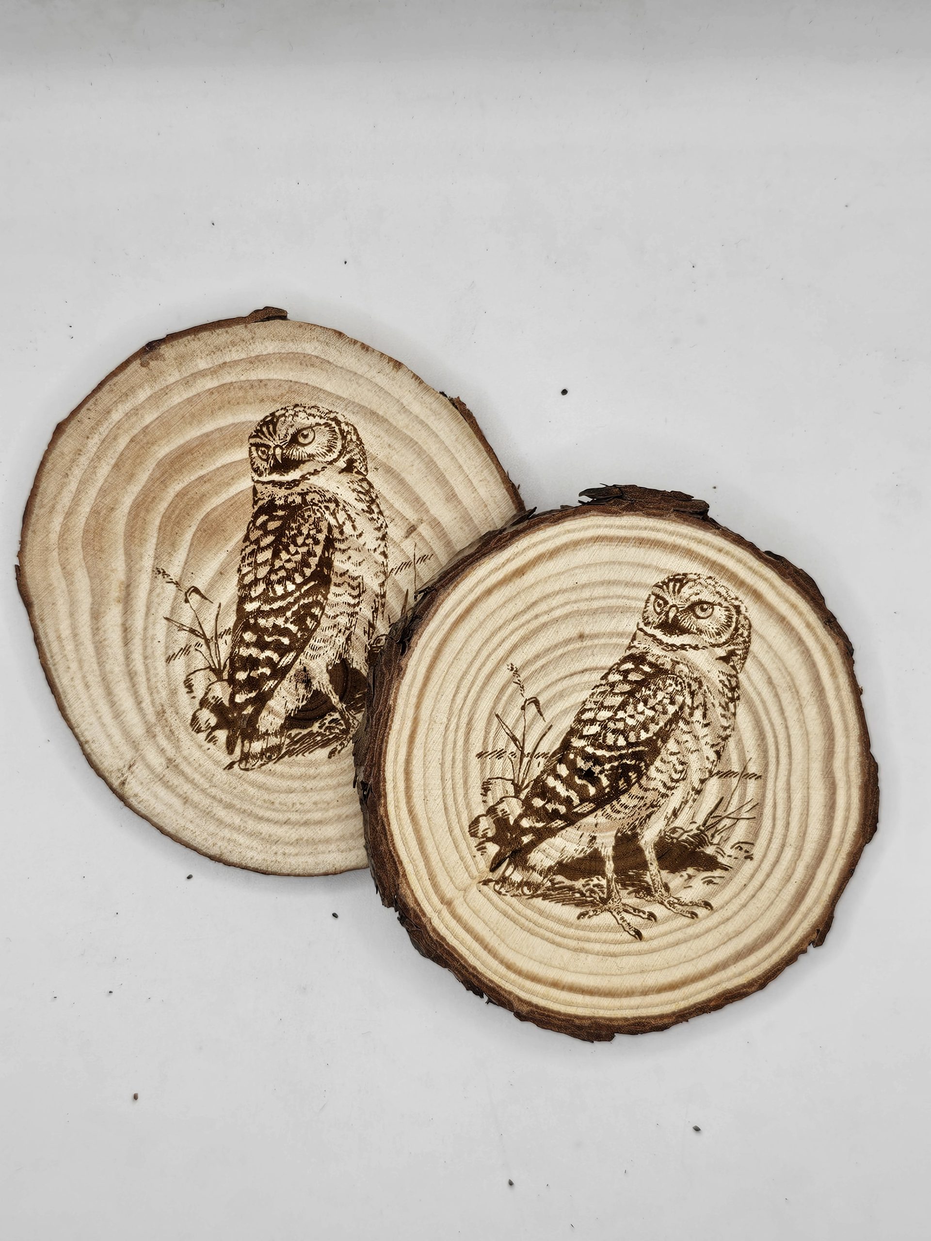 Wooden Coasters - Bird Designs - Image 24