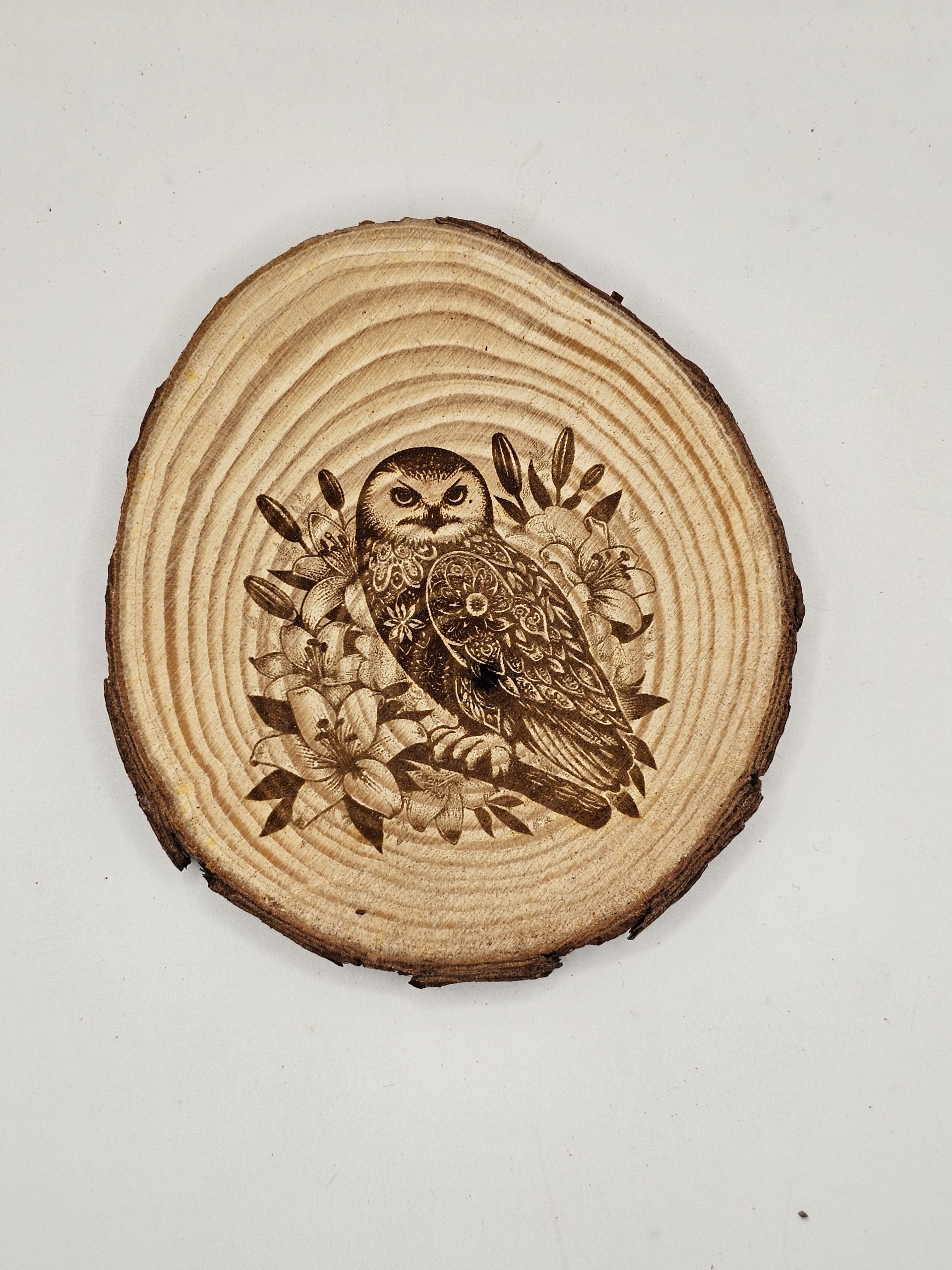 Wooden Coasters - Bird Designs - Image 19