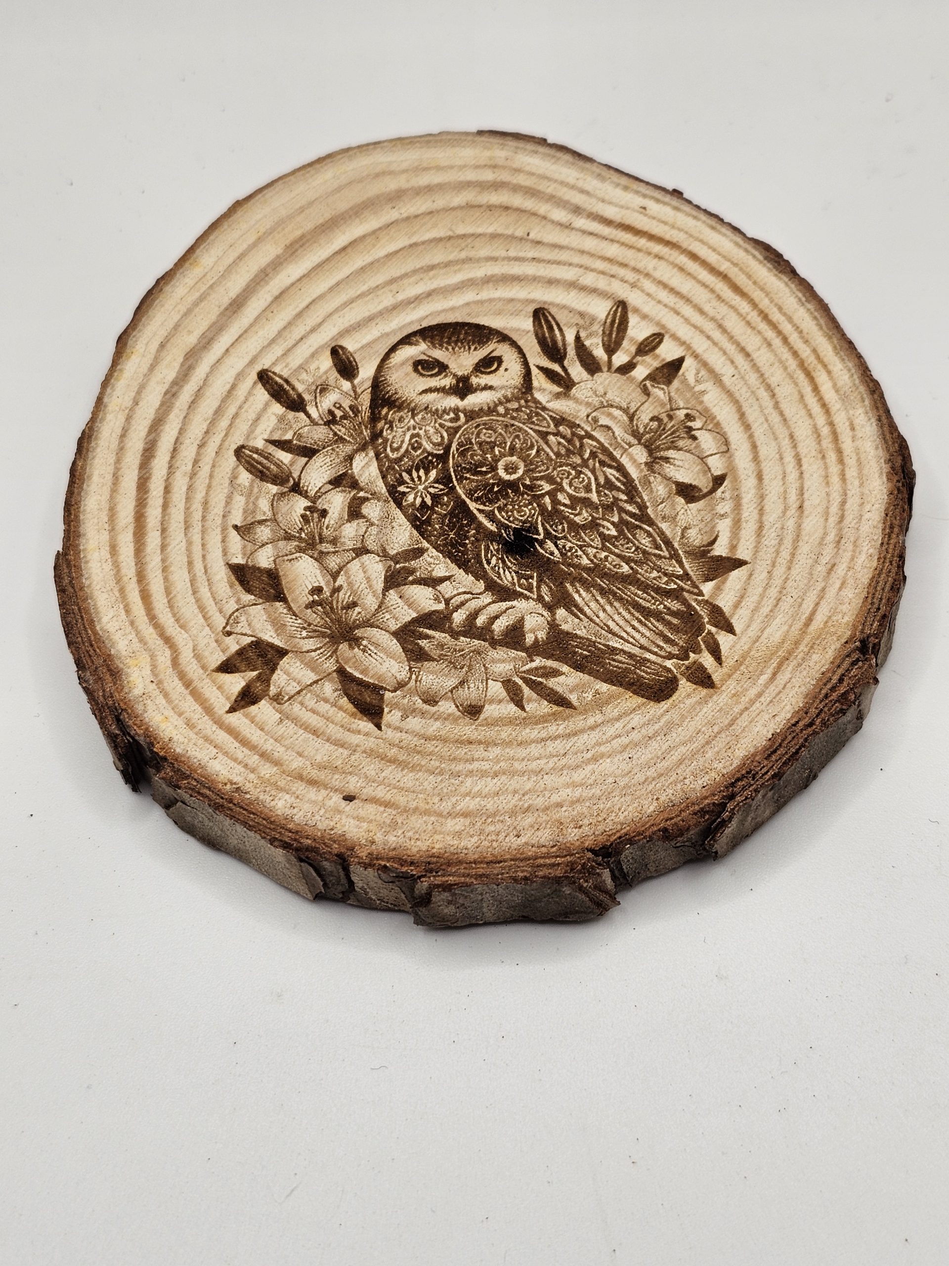 Wooden Coasters - Bird Designs - Image 20
