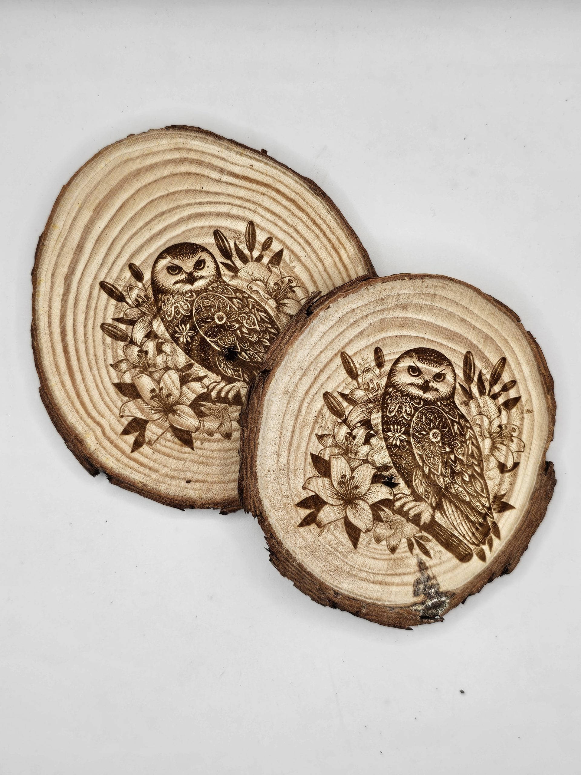 Wooden Coasters - Bird Designs - Image 21