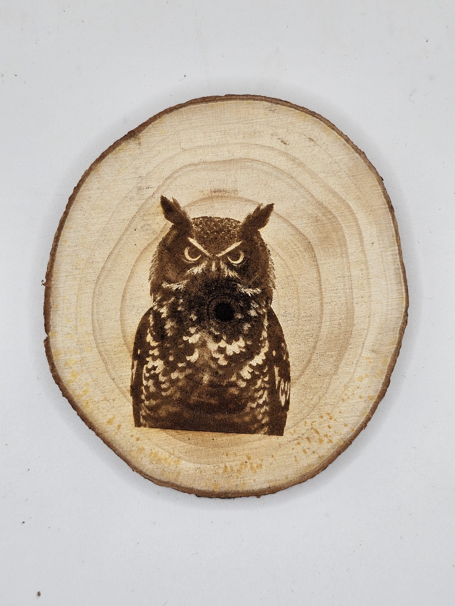 Wooden Coasters - Bird Designs - Image 16