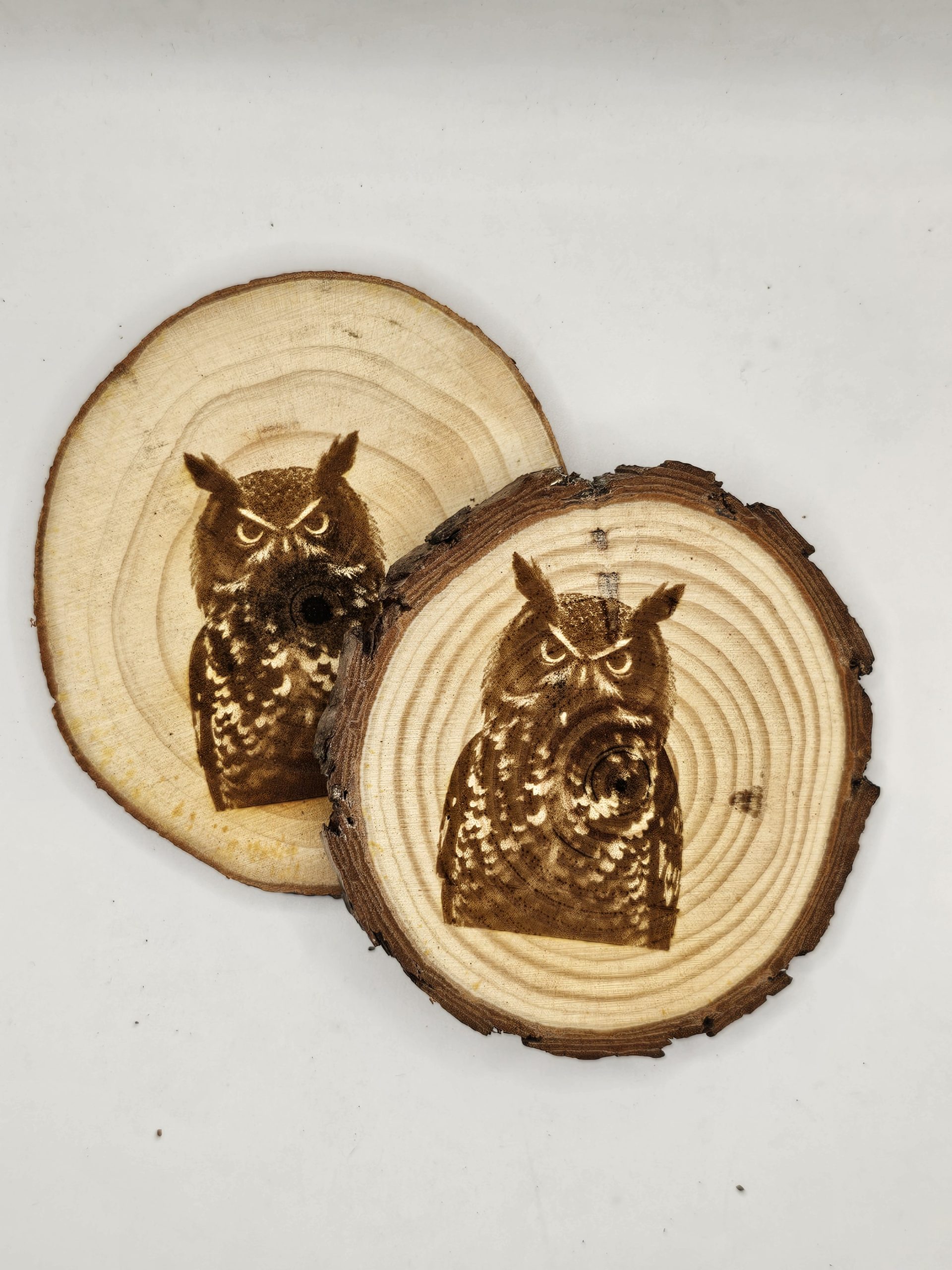 Wooden Coasters - Bird Designs - Image 18