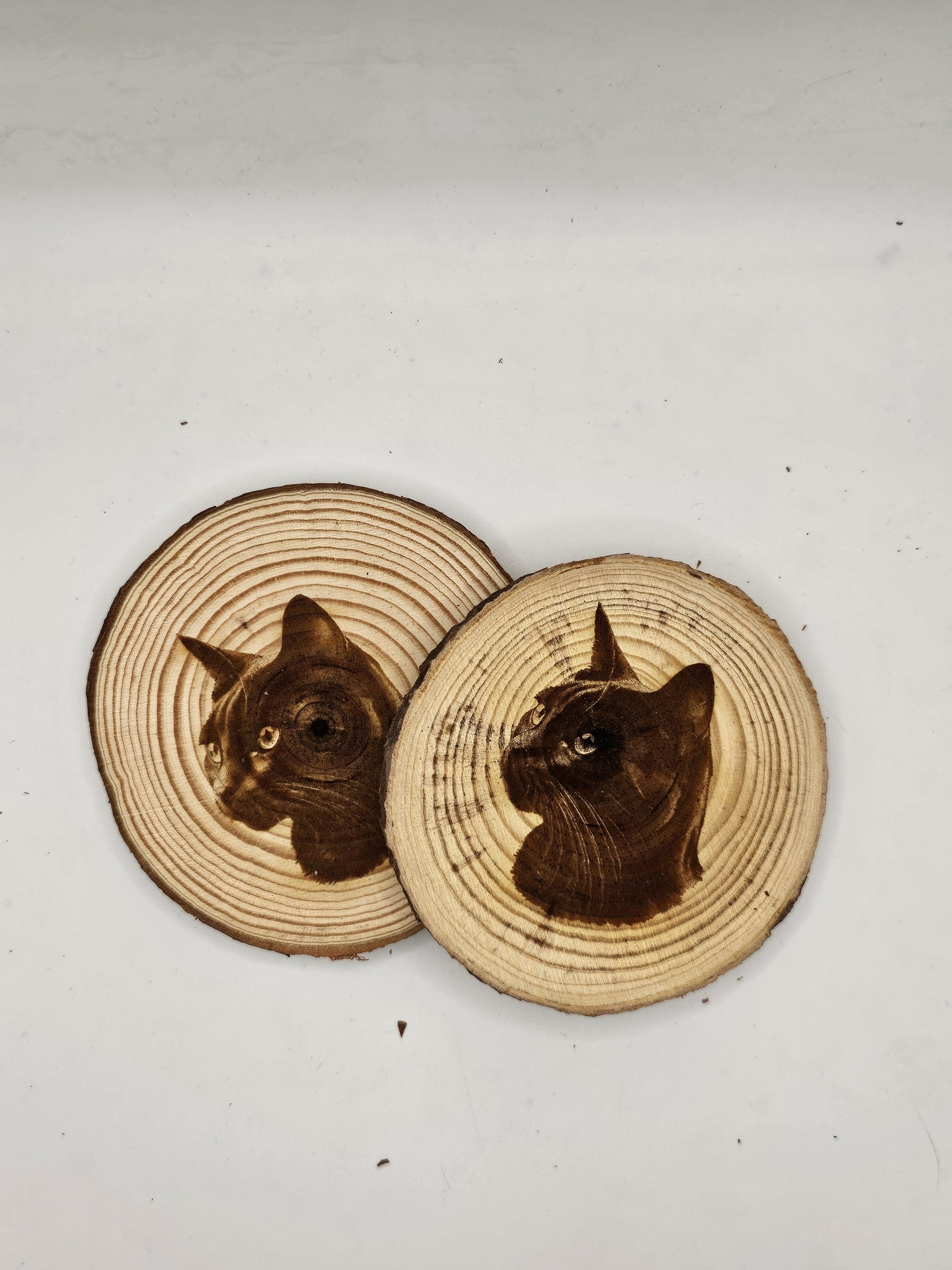 Wooden Coasters - Cat Designs - Image 4