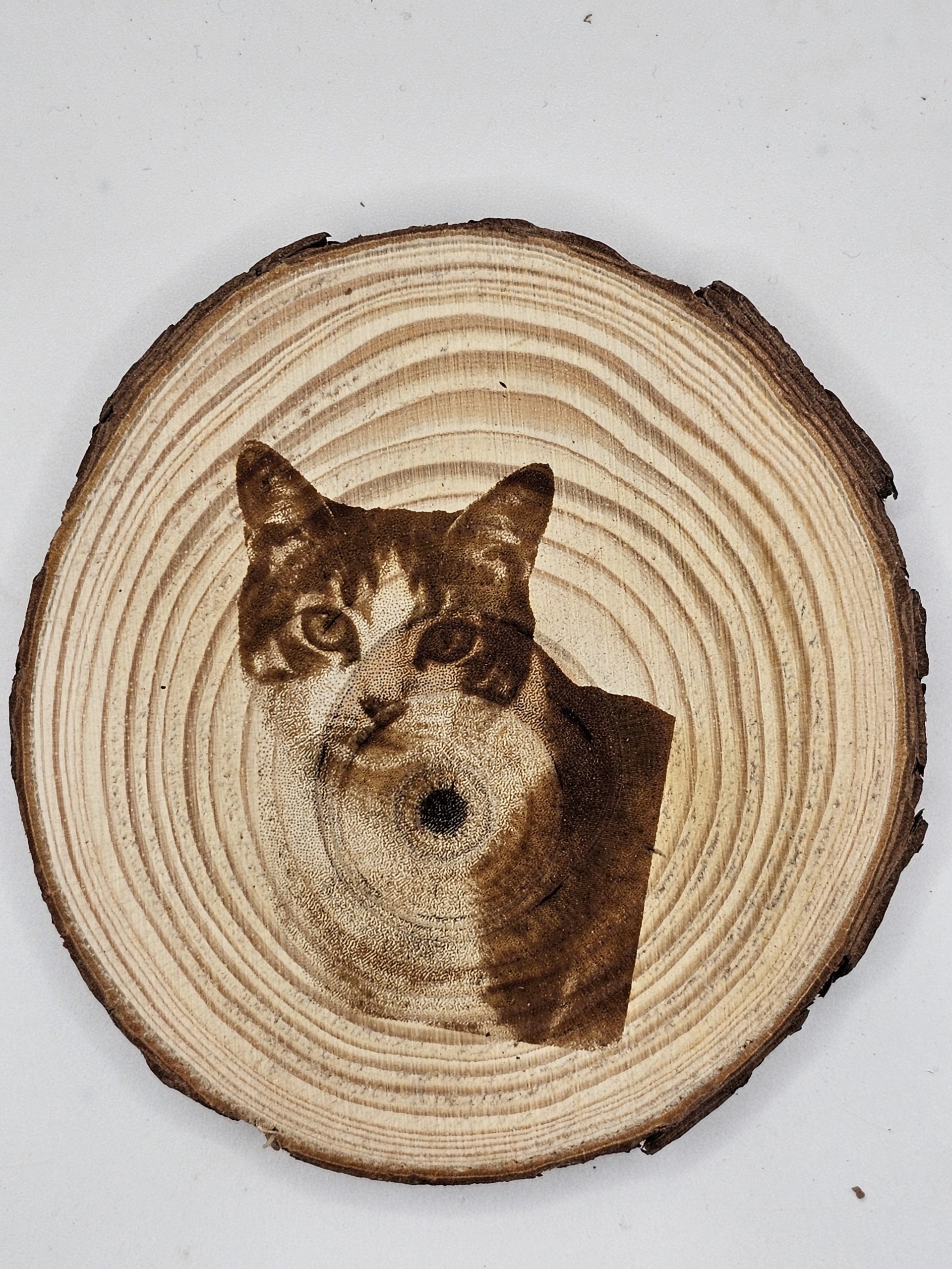 Wooden Coasters - Cat Designs - Image 5
