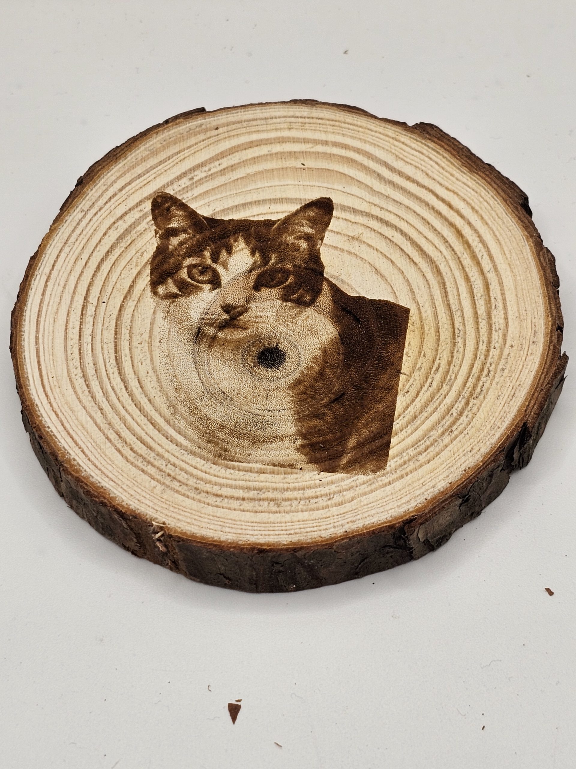 Wooden Coasters - Cat Designs - Image 6