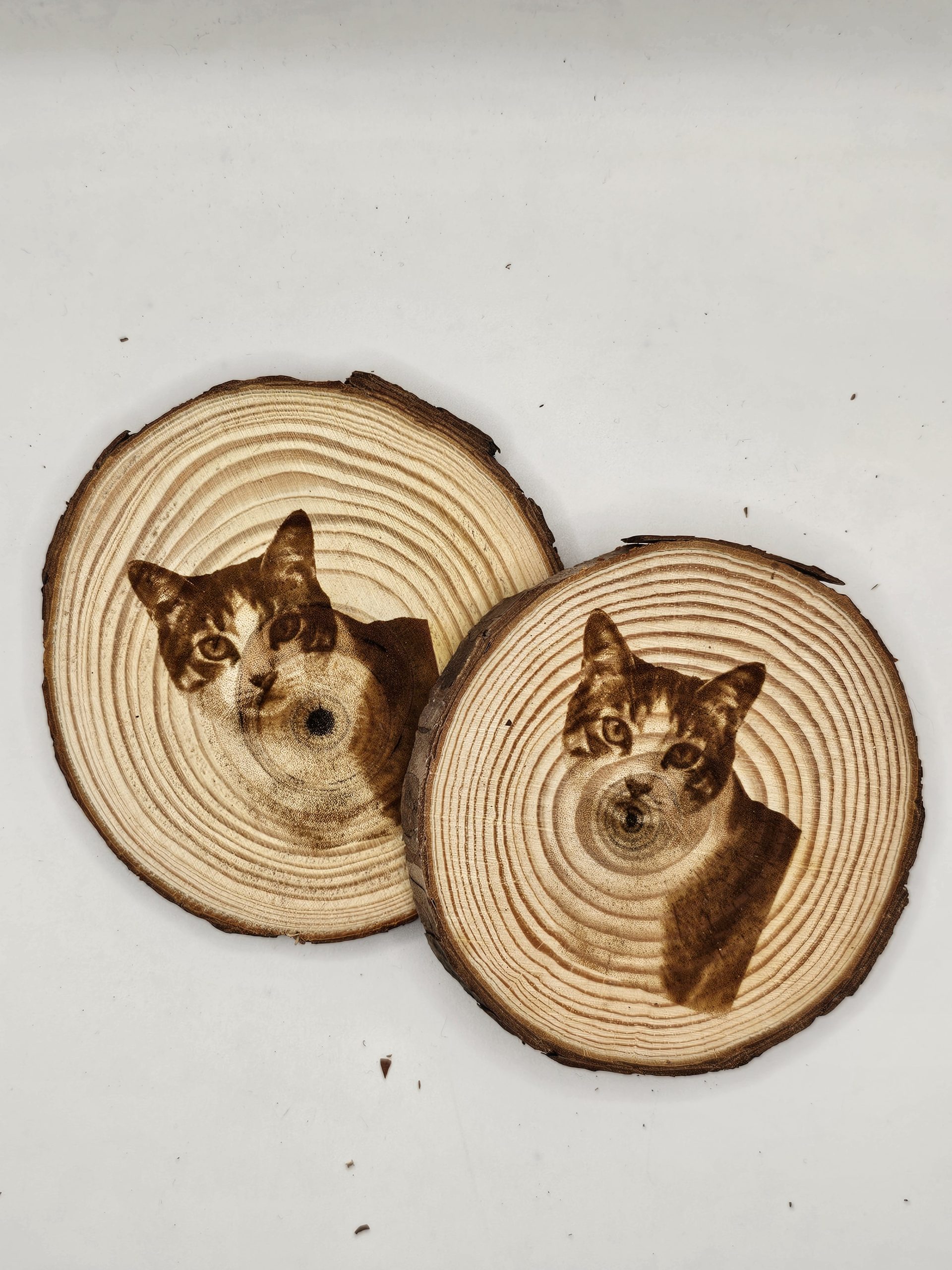 Wooden Coasters - Cat Designs - Image 7